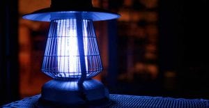 mosquito light killer