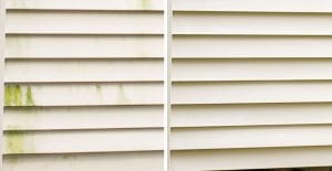 diy siding cleaner