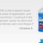 See How Sue & Christine Used Wet & Forget Products To Treat Pesky Stains!