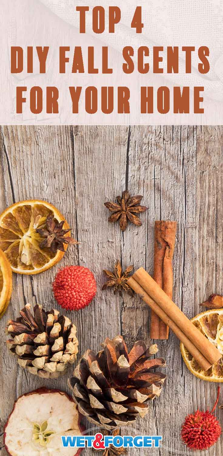 Fall is here! Learn how to make your home smell like the season with these scent recipes.