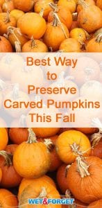 Make sure your jack-o'-lanterns last for a multiple weeks with this pumpkin preservation method!