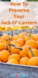 Make your Jack-O'-Lantern last up 2-3 weeks longer with this easy preservation method!