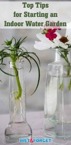 Looking for unique decor for your home? Try out creating an indoor water garden! Follow these helpful tips to get started.