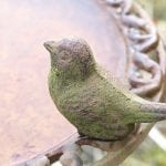 Birdbath- Simple Tips and Tricks for Cleaning