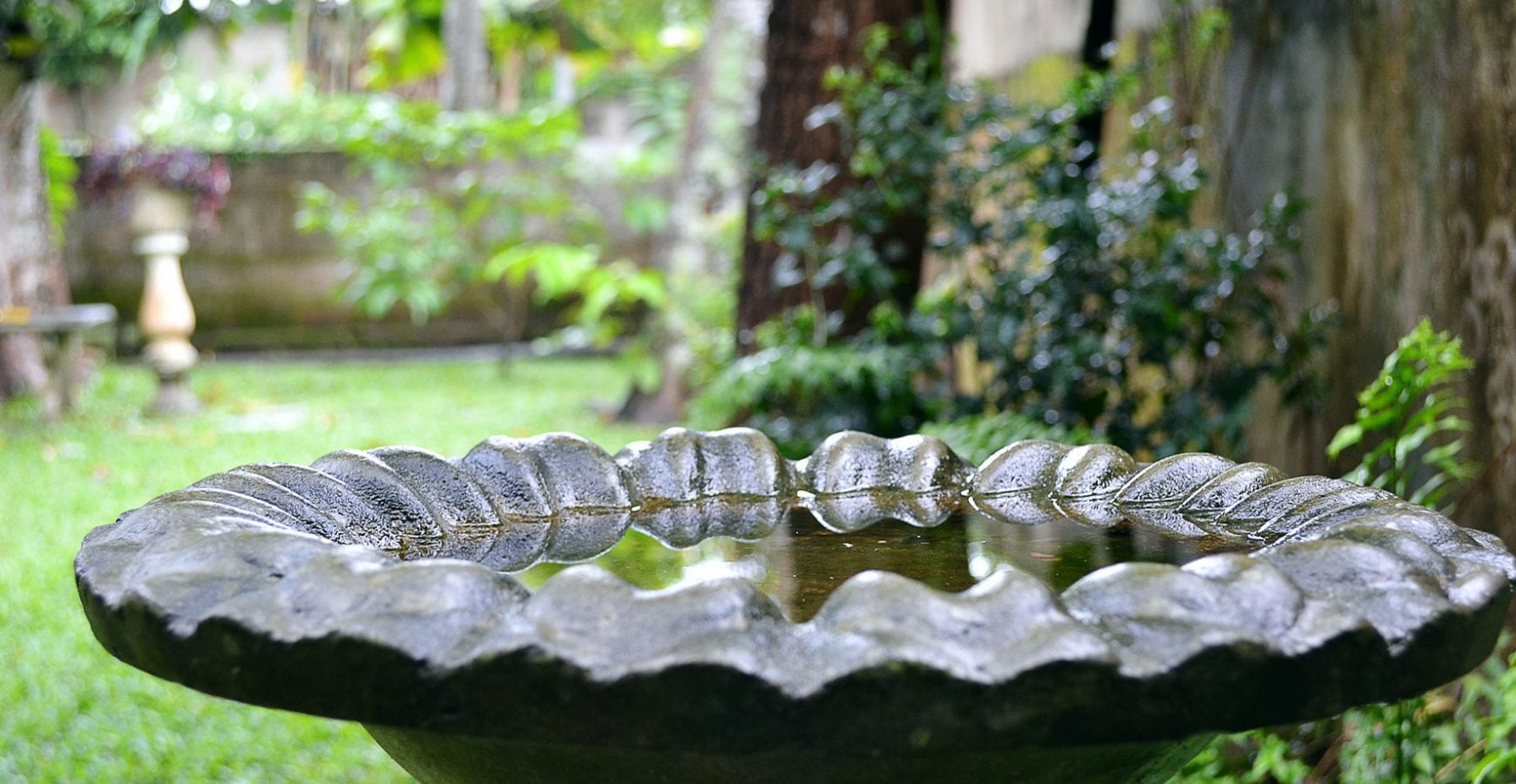 Birdbath Simple Tips and Tricks for Cleaning Life's Dirty. Clean Easy.