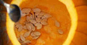 store pumpkin seeds