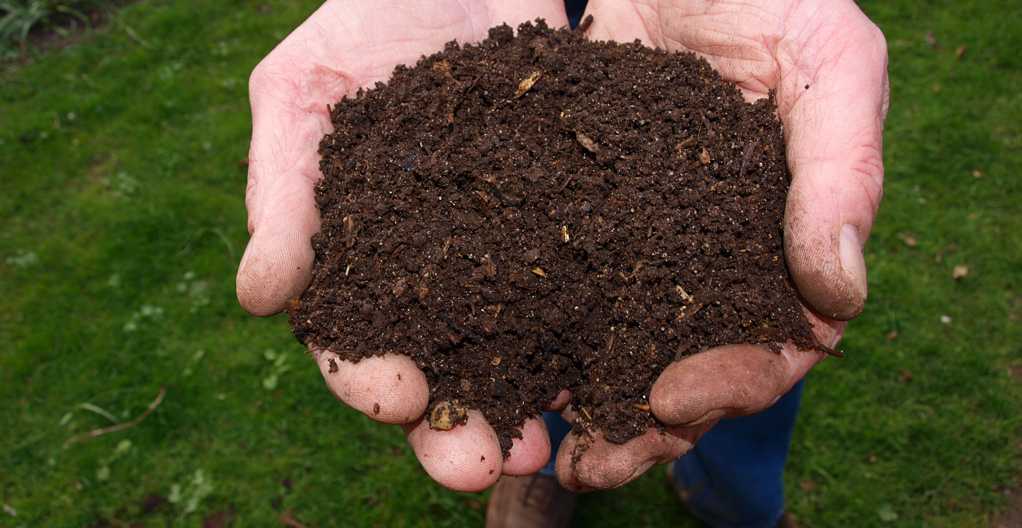 composting leaves and twigs