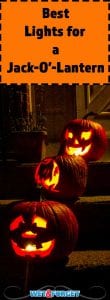 It can be tricky trying to find the best light to illuminate your pumpkin. Discover the best option for your jack-o'-lantern with our guide!