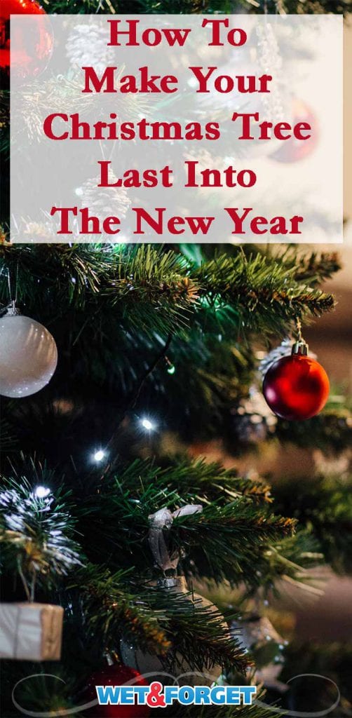 How to Make Your Christmas Tree Last Longer Life's Dirty. Clean Easy.