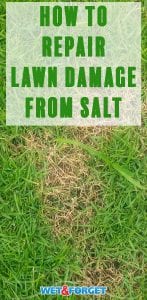 Does your lawn have damage after the rough winter season? Find out how to fix it with our guide!