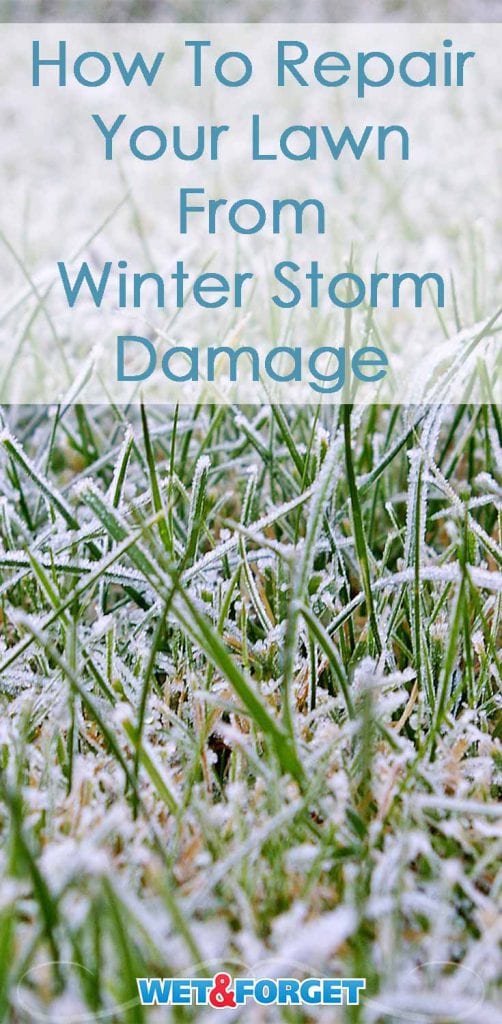 Repairing Winter Storm Damage in Your Lawn and Landscape Life's Dirty. Clean Easy.