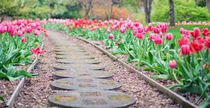 flower bed border ideas