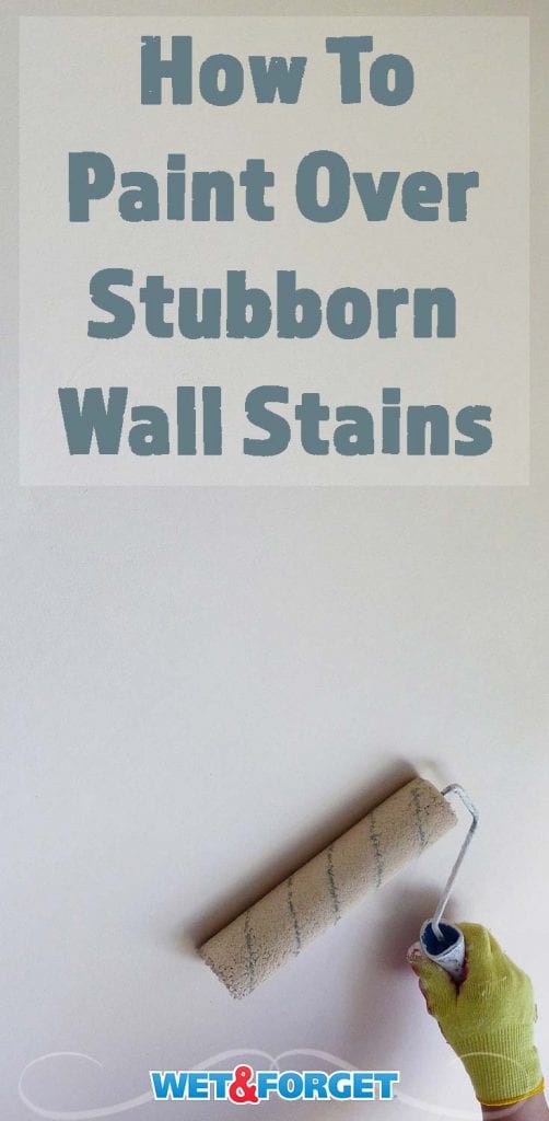 Howtos for Painting Over Stains on Walls and Surfaces Life's Dirty