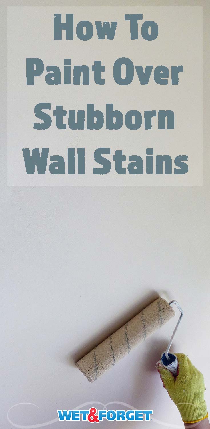 how to get blue tack stains off painted walls