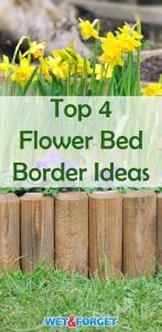 Not sure what type of border you want to add to your flower bed? Check out these 4 options, including a few DIY ideas!