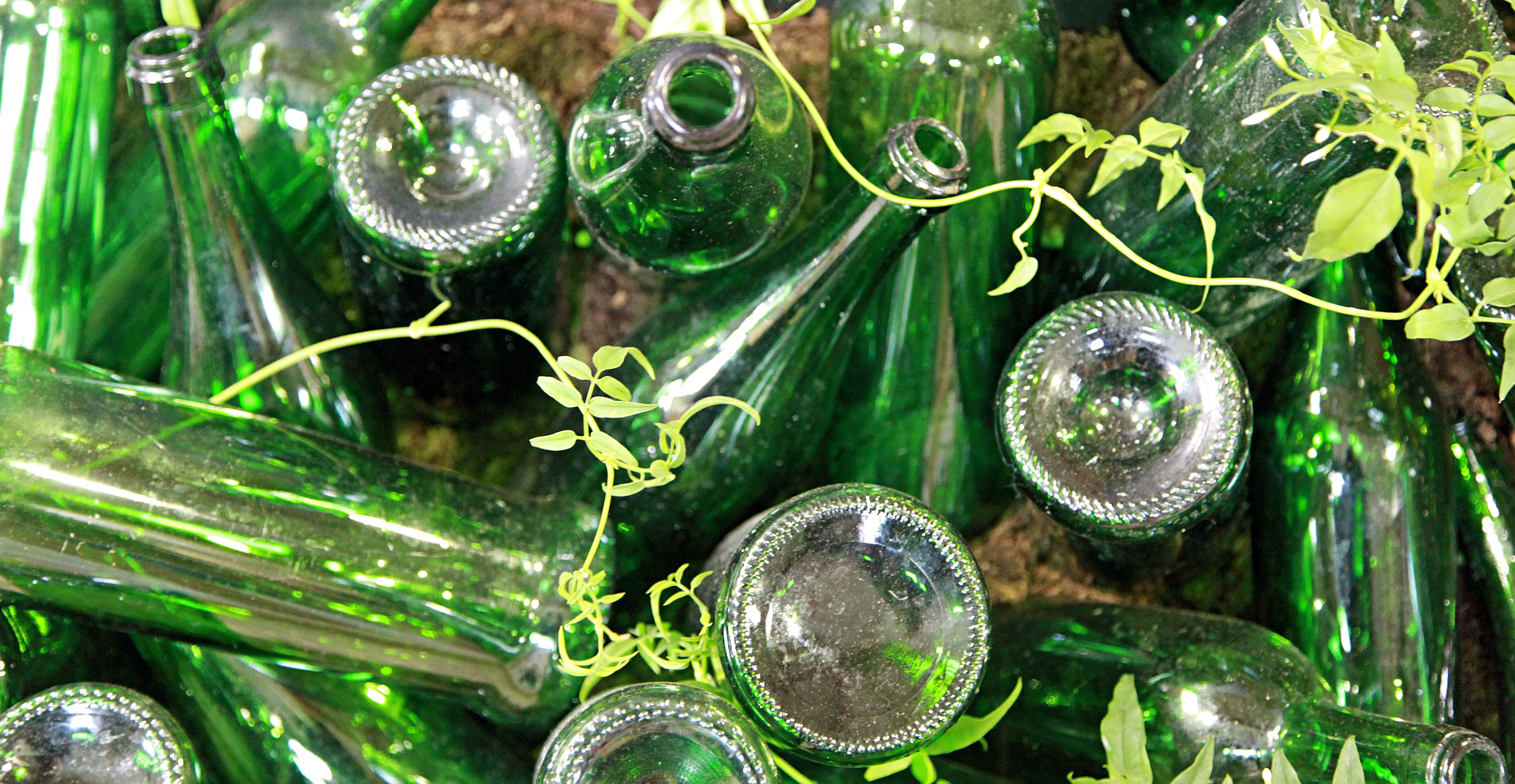 winebottlesopt Life's Dirty. Clean Easy.