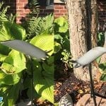 DIY PVC Bird – An Easy Yard Decoration Tutorial
