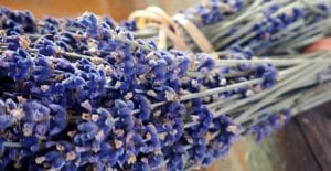 dry flowers