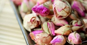 Learn how to dry roses