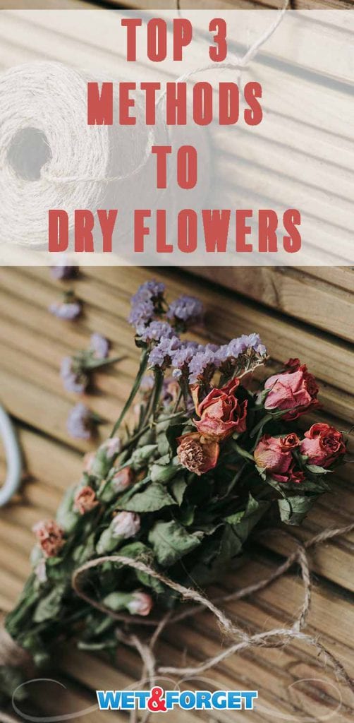 How to Dry Flowers, Plus Dried Flower Décor Ideas for Fall Life's