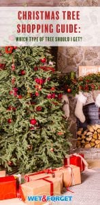 How to Choose the Best Christmas Tree for Your Home | Life's Dirty ...