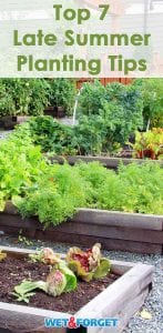 Make sure your garden has a bountiful fall harvest by following these key late summer planting tips!