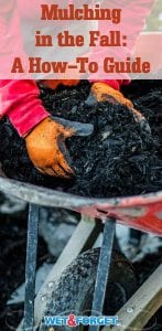 Discover the benefits of mulching in the fall with our how-to guide!