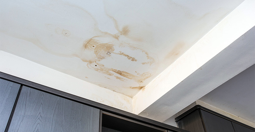 Wipe Out Smelly Mold Mildew After A, Water Coming Through Basement Ceilings