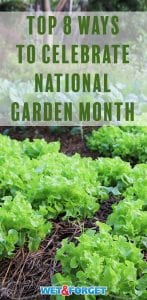 April is National Garden Month! Discover unique ways to celebrate with our guide!