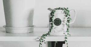 string of pearls propagation