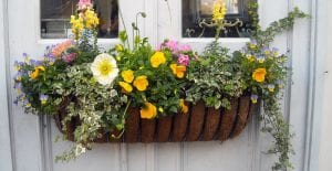 planter boxes