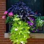 Add Curb Appeal to Your Home with Planter Boxes