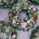 Top Easter Succulent Ideas for Decorating Your Home