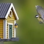 How To Pick the Best Birdhouse for Your Backyard