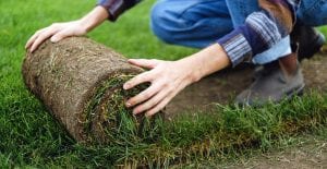how to lay sod