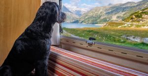 RV decorating ideas