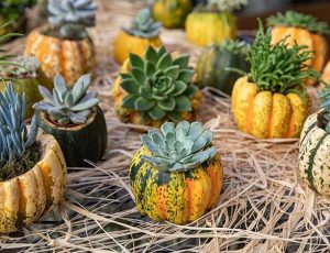 pumpkin planter