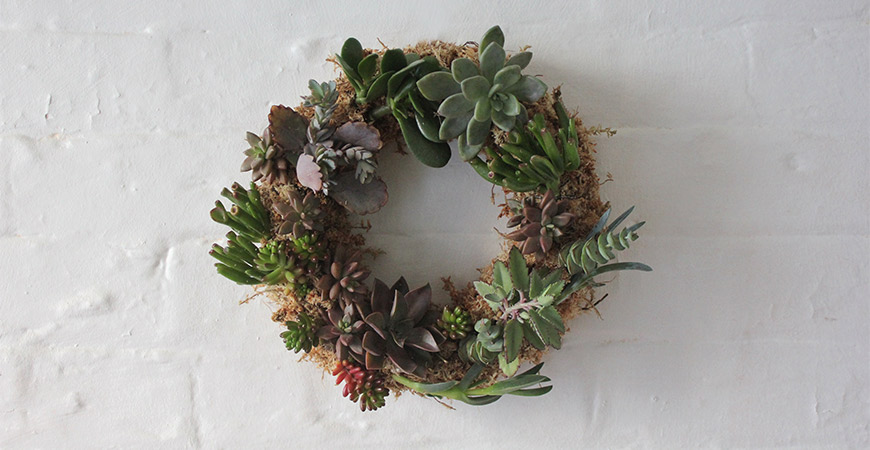 Succulent wreath makes a great centerpiece for Thanksgiving