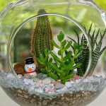 DIY Ornament Ideas for Gardeners and Plant Lovers