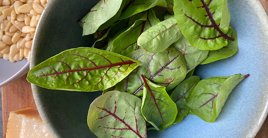 Looking to add new herbs to your stew? Try adding french sorrel!