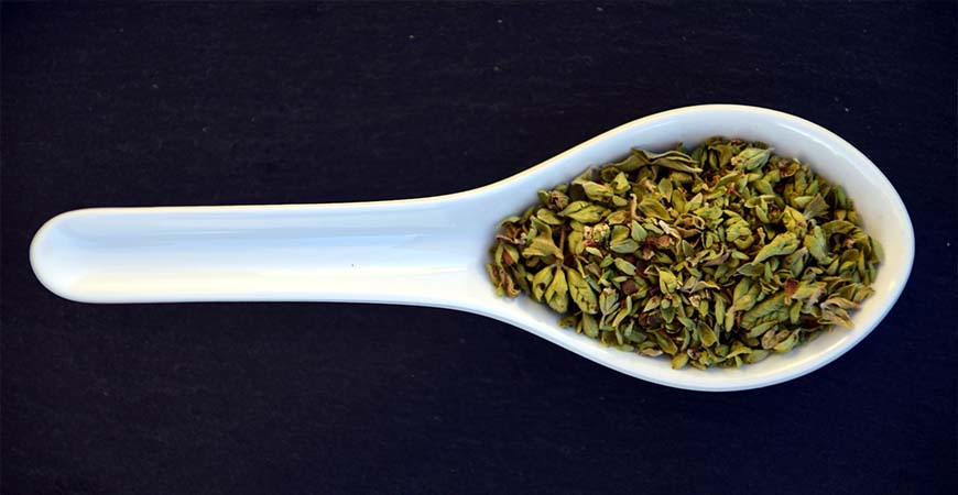 Searching for herbs to add to your Italian soup? Oregano is your go to!
