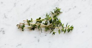 Looking for extra flavorful herbs? Only use thyme in small amounts.
