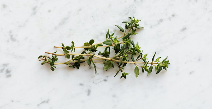 Looking for extra flavorful herbs? Only use thyme in small amounts. 