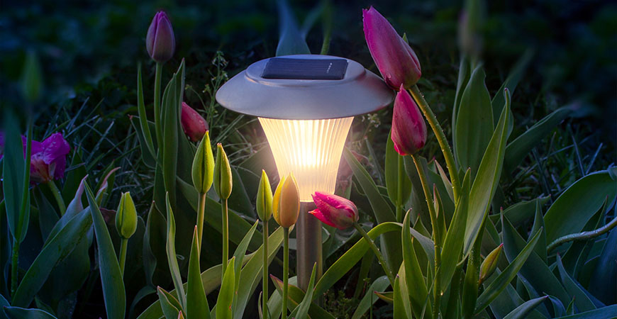 Solar power lights can be used to highlight flowers or other landscaping features.