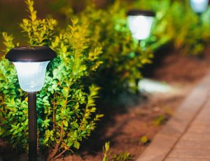 Solar power lights can be used to brighten up your garden path.