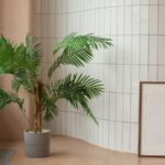 Parlor palms can great your guests and thrive in low light