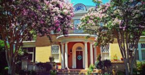 Tree pruning helps your yard stay beautiful.