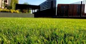An even lawn is the goal