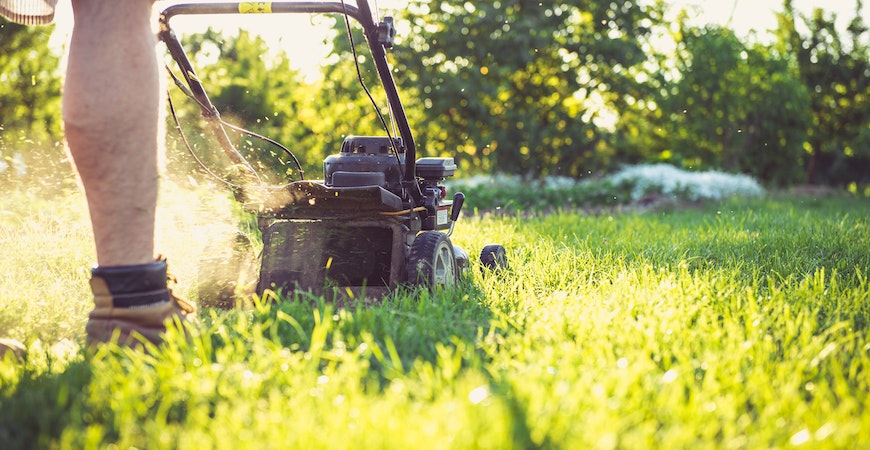 Mowing your lawn makes it easier to find low spots.