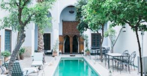 Meyer lemon trees around a pool.